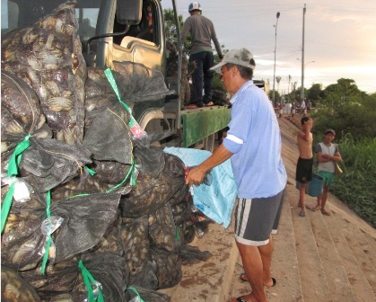 Những chợ “độc” vùng biên - 4 Chợ côn trùng hay còn gọi là chợ sung dược mọc lên ở một góc chợ Tịnh Biên.