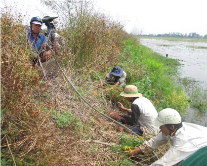 Chứng kiến một buổi săn chuột đồng bằng... máy cắt cỏ - 3 Những người còn lại tìm những cửa sau mà chuột có thể chạy ra để bắt