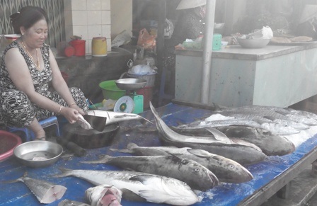 Đi chợ hải sản "giá rẻ bất ngờ" ở đảo ngọc Phú Quốc - 14 Ở chợ hải sản này nhiều nhất vẫn là các loại cá biển