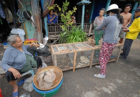 Những chợ “độc” vùng biên - 6 Chợ chuột Phù Dật ở xã Bình Long, huyện Châu Phú (An Giang) - chợ chuột lớn nhất miền Tây -