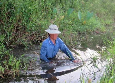 Chia sẻ “lạnh người” của một thợ săn rắn độc - 1 Nghề cắm câu rắn độc phải băng đồng, lội ao, vượt đường xa hàng chục kilomet...