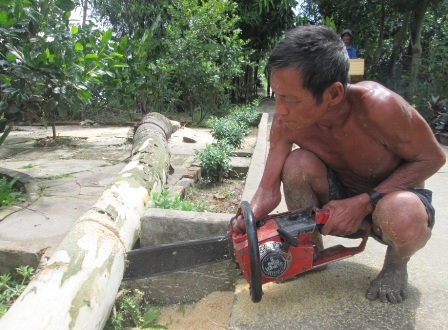Thợ cưa cây một tay kỳ tài ở miền Tây - 4 Giờ đây ở tuổi 68 ông Đấu vẫn còn treo mình trên cây vì không thể bỏ nghề.