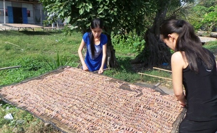 Mùa kiếm tiền nhờ món "vũ nữ chân dài" độc nhất miền Tây - 9 Thông thường nhái phơi khoảng 2 nắng là có thể xuất xưởng