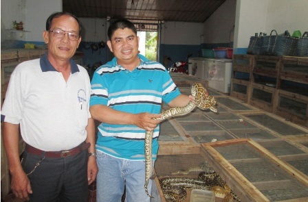 Nơi người dân nuôi trăn như... nuôi lợn - 2 Mỗi năm từ việc bán trăn thịt và trăn giống anh Cường thu lãi trên 1 tỷ đồng