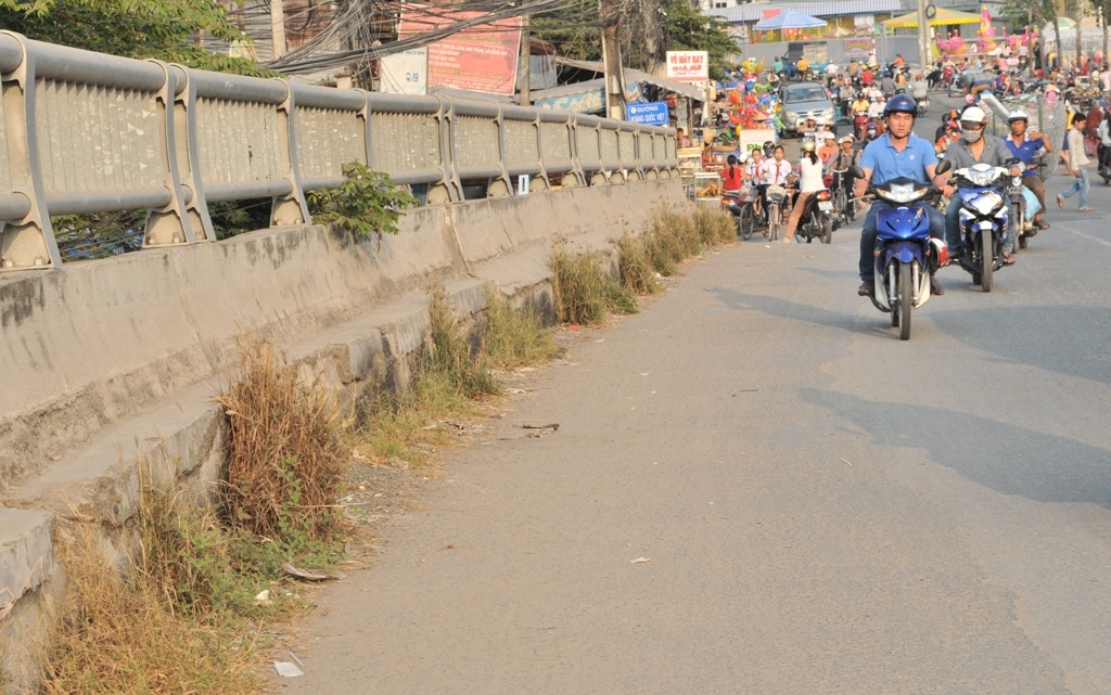 Và cỏ vô tư mọc lên