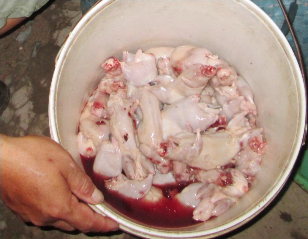 Dân dã món chuột đồng nướng thùng thơm lừng - 2 Ướp chút gia vị