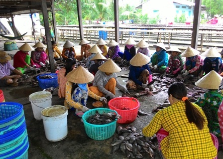 Sản vật "độc" miền Tây đắt hàng, tăng giá cận Tết - 3 Cận tết, các loại khô đặc sản miền Tây hút khách, tăng giá