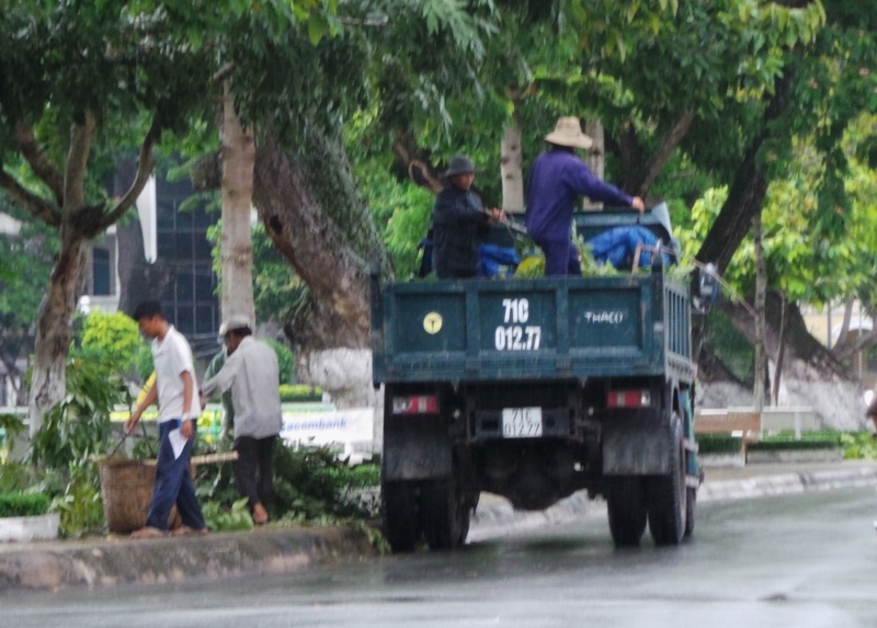 Công nhân cây xanh ở tỉnh Bến Tre dọn dẹp đường phố
