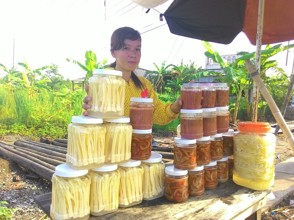 Giờ đây cây bồn bồn đã trở thành cây kinh tế của vùng đất Mũi Cà Mau