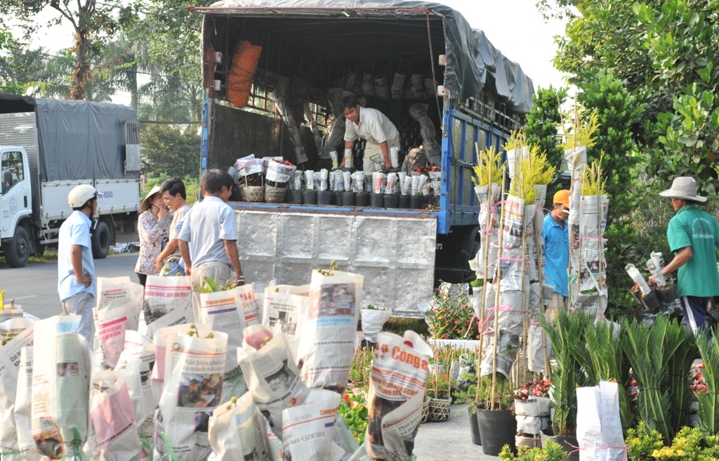 Hoa Tết "đổ bộ" về phố - 21 Thương lái tất bật đưa hoa về phố. (Ảnh: Nguyễn Hành)