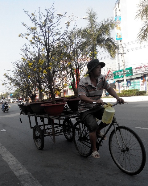 Mua nhanh, bán gấp ngày cuối năm - 6 Chở xuân về nhà
