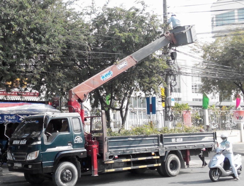 Cắt tỉa cây xanh