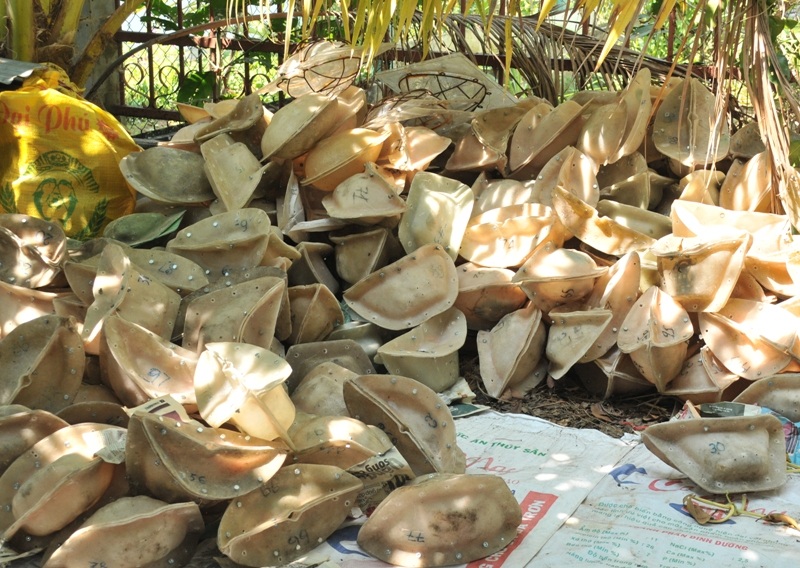 Cầm nửa tỷ đồng không mua được 150 cặp dưa hấu thỏi vàng - 10 Khuôn dưa hình thỏi vàng, trái tim... là chi phí rất lớn khi chọn nghề trồng dưa tạo hình