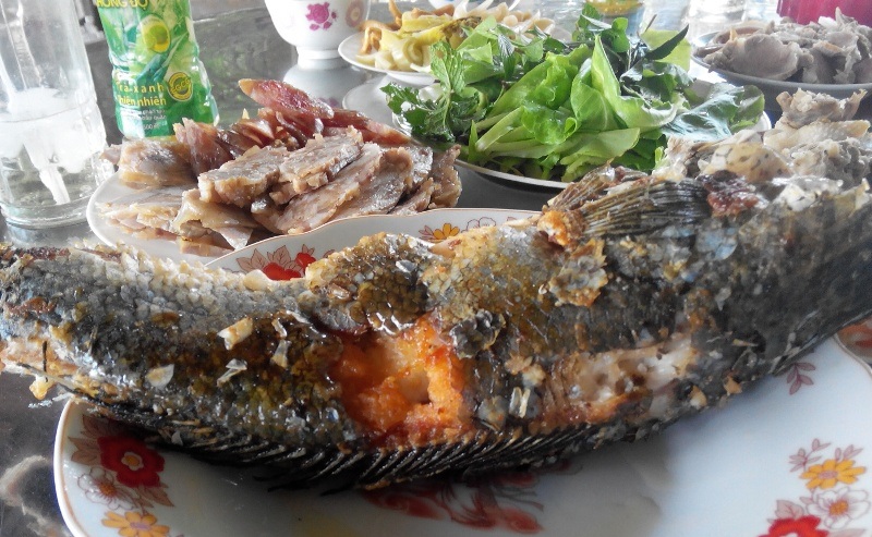 Những món ăn dân dã miền Tây ngày Tết khó cưỡng - 8 Món cá lóc chiên xù cũng rất phổ biến với dân miền Tây