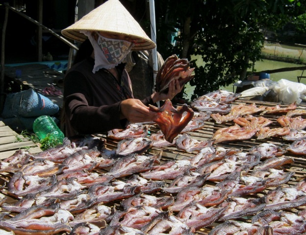 Sản vật "độc" miền Tây đắt hàng, tăng giá cận Tết - 7 Trung bình 4 kg cá lóc tươi cho ra 1 kg khô