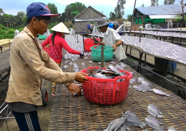 Sản vật "độc" miền Tây đắt hàng, tăng giá cận Tết - 4 Cận tết, các loại khô đặc sản miền Tây hút khách, tăng giá