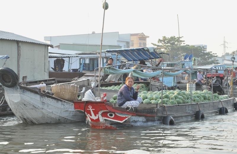 Dưa hấu dội chợ, ngồn ngộn ở chợ nổi Cái Răng - 1 Dưa hấu dội chợ, nhiều thương hồ bán dưa hấu mong ngóng khách