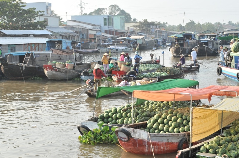 Dưa hấu dội chợ, ngồn ngộn ở chợ nổi Cái Răng - 4 Những chiếc ghe chở dưa hấu đầy ấp ở chợ nổi chờ chưa được giải phóng
