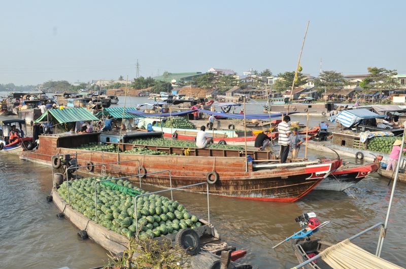 Dưa hấu dội chợ, ngồn ngộn ở chợ nổi Cái Răng - 6 Đâu đâu cũng thấy dưa hấu bồng bềnh trên sông