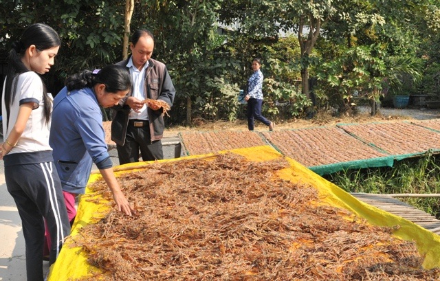 Sản vật "độc" miền Tây đắt hàng, tăng giá cận Tết - 11 Trung bình 4 kg cá lóc tươi cho ra 1 kg khô