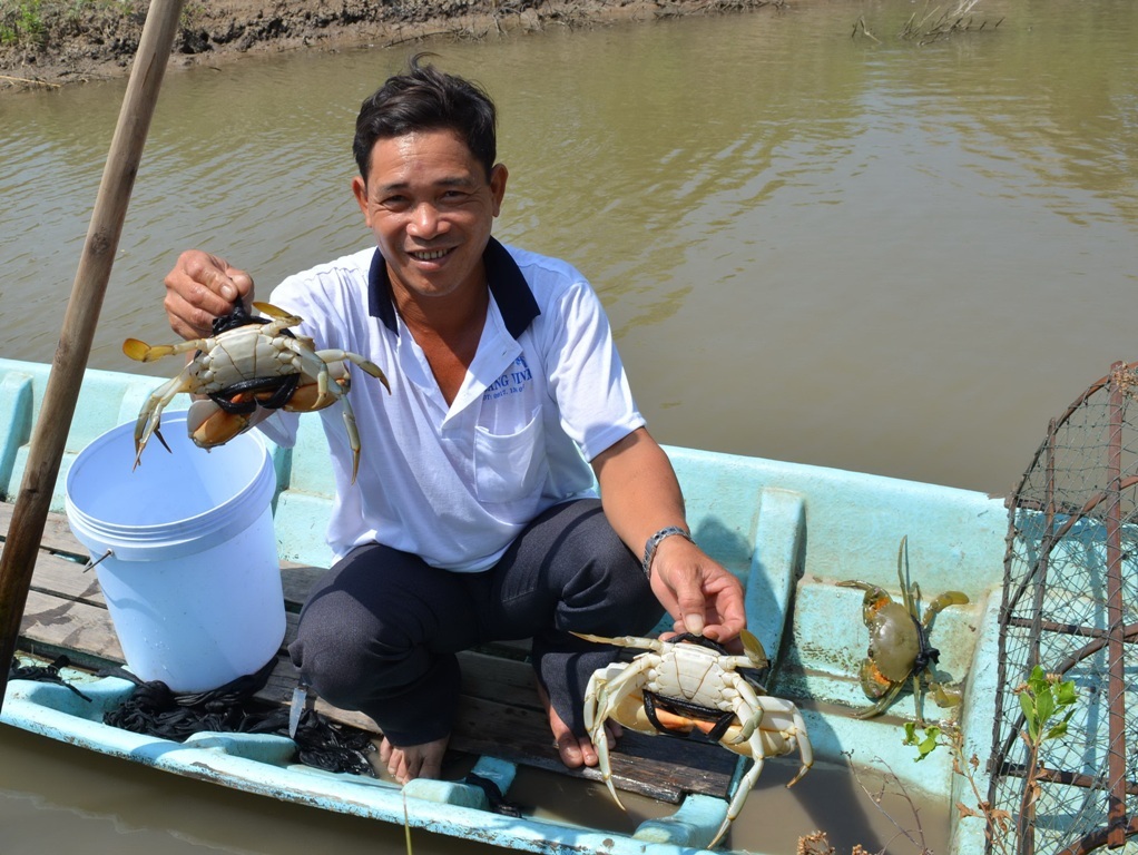 Nuôi cua trong vuông tôm cho thêm thu nhập từ 40 - 50 triệu đồng/ha - 1 Đọc những thông tin kinh tế - tài chính mới nhất trên