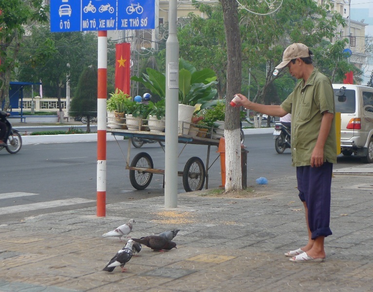 Ban đầu anh Chương dùng bánh bò của cháu để nuôi đàn chim câu, chim sẻ