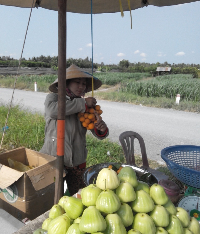 Đầu mùa, 1kg thanh trà bằng 10kg lúa - 2 Đầu mùa 1kg thanh trà có giá từ 40.000 - 55.000 đồng.