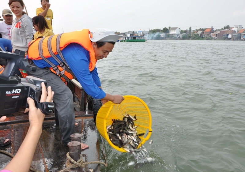 Thả hơn 20 tấn cá bản địa về sông Tiền - 2 Nhiều giống cá bản địa, như