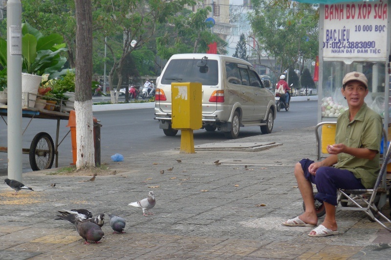 Cả khi anh Chương không cho ăn, đàn chim cũng ríu rít vây quanh.