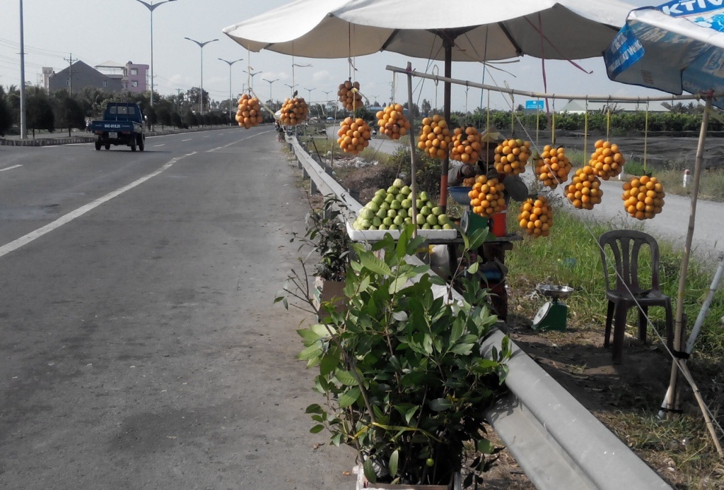 Những chỗ bán trái thường bán luôn cây giống thanh trà.