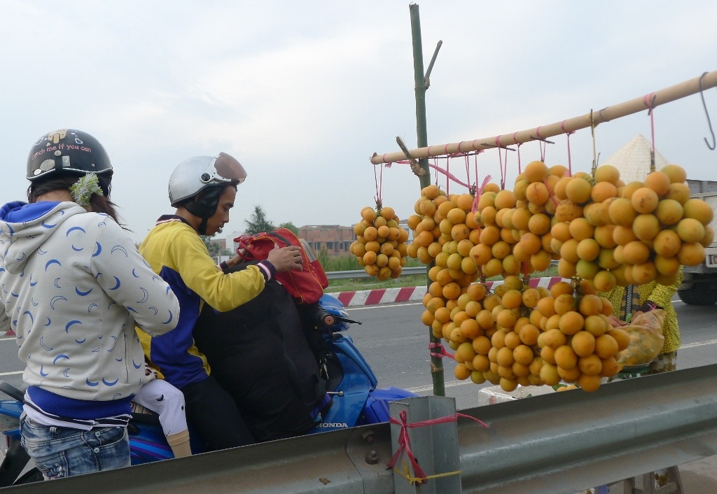 Nhiều du khách đi đường ghé mua thanh trà về làm quà biếu.
