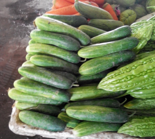 Sau tết, giá mỗi kg dưa leo bằng 4-5 kg lúa - 1 Từ sau tết đến nay, giá dưa leo luôn ở mức trên 20.000 đồng/kg