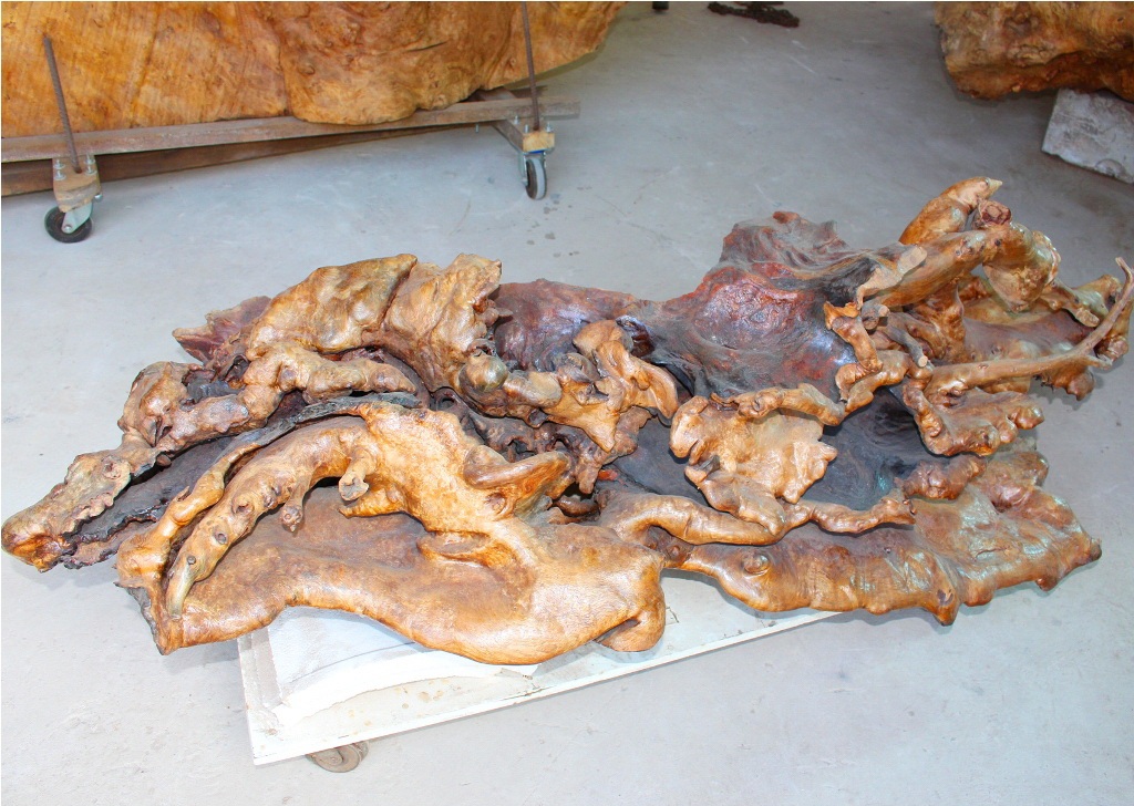 Thân cây bàng đá sẽ được tận dụng
vào việc chế tác đài hoa sen đặt trên bộ rễ