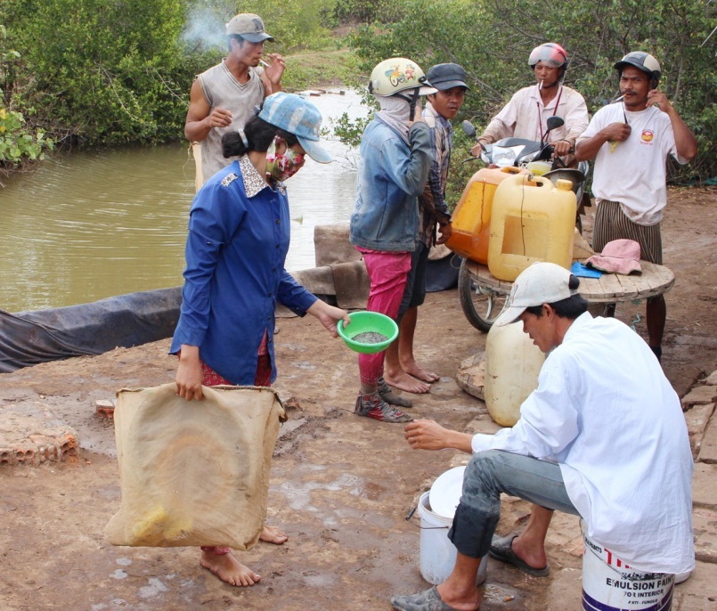 Do trứng sò huyết quá nhỏ nên việc mua bán theo hình thức mua xô