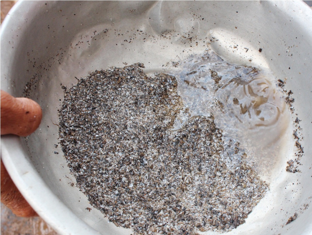 Trứng sò huyết luôn lẫn các tạp chất, như bùn, vỏ óc, rác...