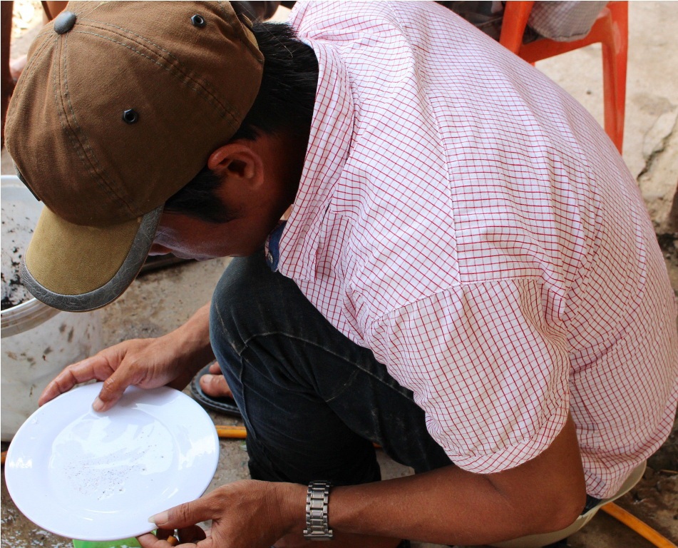 Trứng sò huyết luôn lẫn các tạp chất, như bùn, vỏ óc, rác...