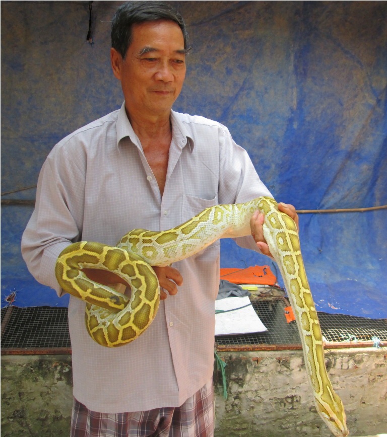 Trăn đột biến giá trị của nó nằm ở hoa văn, màu sắc, lạ mắt hơn so với trọng lượng cơ thể.