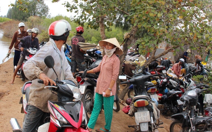 Đối với sò huyết to thế này (ương từ 3 -4 tuần) được thương lái mua từ 20 - 30 triệu đồng/kg