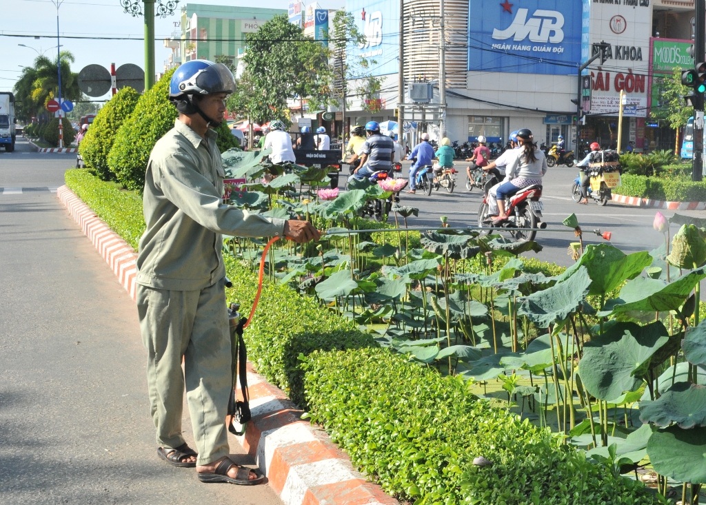 Ngỡ ngàng ngắm hoa sen nở giữa phố mừng sinh nhật Bác - 12 Vận động nhân dân cùng chăm sóc, giữ gìn hoa sen trên phố.