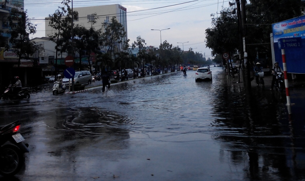 Đường Trần Văn Hoài dù cao nhưng vẫn bị ngập 