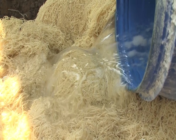 Tiêu hủy hơn 100kg mì sợi “ngậm” hàn the