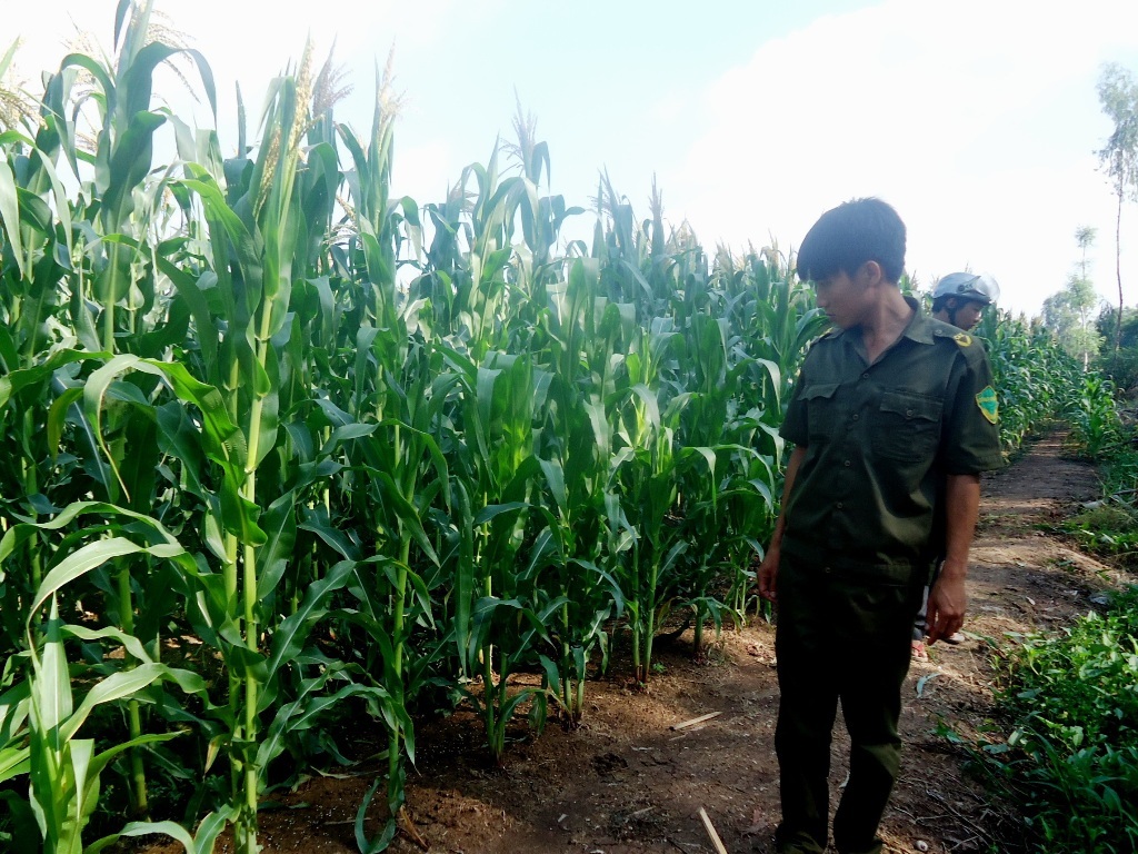 Hiện trường vụ tử nạn của ông Võ Văn Hùng