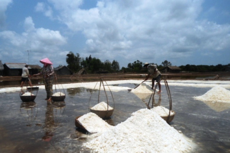 Muối thêm “mặn” do được mùa, mất giá - 1 Hiện nay diêm dân gặp khó khi giá muối xuống thấp gặp thêm tình cảnh thương lái không đến thu mua