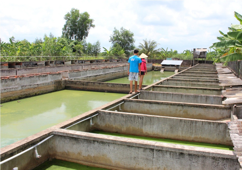 Con cua đinh nặng 35kg của ông Đinh Văn Thủ
