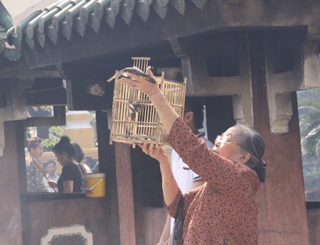 Những cánh chim tung lên trời cao mang theo điều ước của một số người