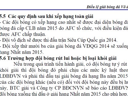 Điều lệ V-League 2014...