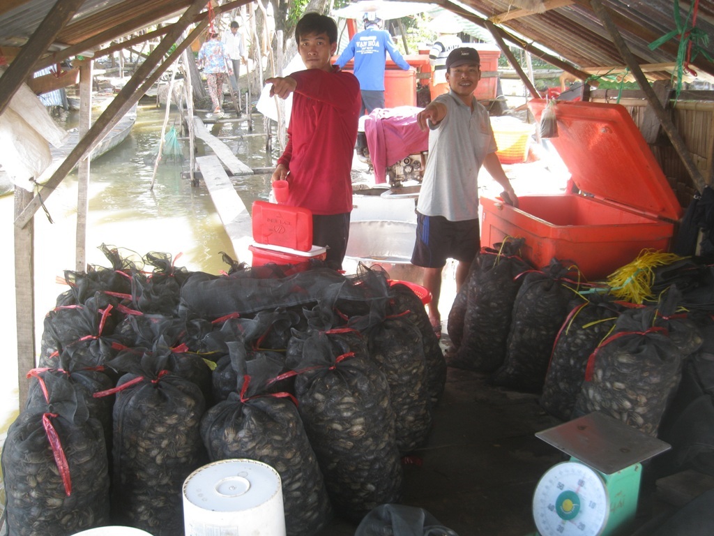 Tại các chợ cua, ốc vùng biên này mỗi ngày xuất trên chục tấn cua, ốc