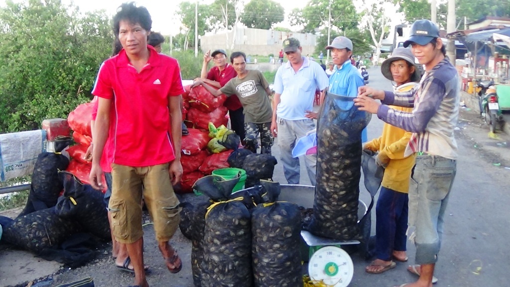 Với các thương lái, dù trời tối cỡ nào, họ vẫn cố gắng cân hết cua cho bà con, vì họ cũng hiểu rằng đây là cả một quá trình lao động vất vả của người dân