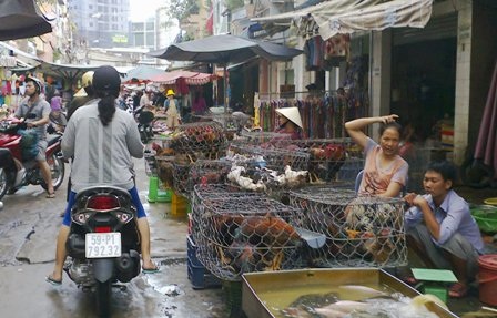 Cúm gia cầm có nguy cơ bùng phát vào cuối năm - 1 Gia cầm sống được bán công khai tại chợ Phạm Văn Hai, quận Tân Bình