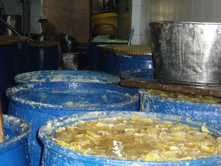 Hình ảnh nhếch nhác tại cơ sở sản xuất mứt trên địa bàn TPHCM